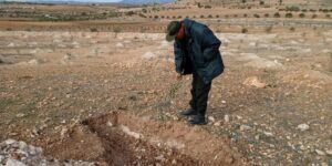 تيارت.. مشروع لغرس 210 هكتار من الأشجار المقاومة للجفاف