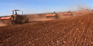 غليزان.. منح قرابة 200 رخصة استغلال خاصة باستصلاح الأراضي