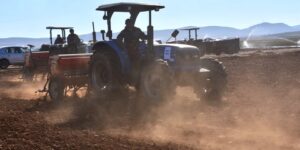 برج بوعريريج.. أزيد من 200هكتار من الأراضي الفلاحية لزراعة دوار الشمس