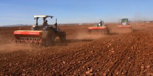 معسكر.. حرث أزيد من 45 ألف و 300 هكتار من الأراضي المخصصة للحبوب  