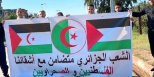 الثورة الجزائرية هي الملهم الأول للمقاومة الفلسطينية والصحراوية ضد الاحتلال