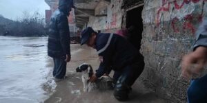 عدة تدخلات لوحدات الحماية المدنية بولايات جيجل وتيزي وزو والطارف