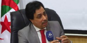 رائد المصري: قمة الجزائر لها أهمية كبيرة في تحقيق التكامل والتوازن بين الدول المصدرة للغاز