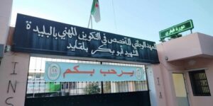 البليدة.. قطاع التكوين والتعليم المهنيين حقق تقدما في مجال الرقمنة