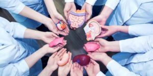 جامعة الجزائر 1.. ملتقى حول التوعية بالتبرع بالأعضاء