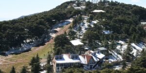 الشريعة.. أمازون الجزائر تفتقر إلى مرافق الراحة