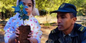 غرس مليون شجرة.. هذه نقاط انطلاق العملية