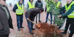 باتنة.. غرس 191 ألف شجيرة خلال موسم التشجير 2024 