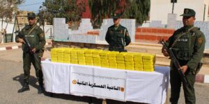 إلقاء القبض على إرهابي وتوقيف 15 داعماً في أسبوع