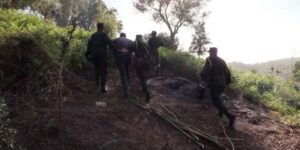 سكيكدة.. توقيف 3 أشخاص لقيامهم بإضرام النيران في الغابات