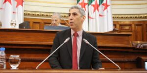 تأكيد على أهمية التكامل بين الدبلوماسية البرلمانية والرسمية في تحقيق المصلحة الوطنية والدفاع عن القضايا العادلة