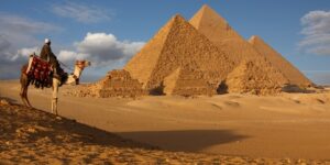 التاريخ سجل الأمم