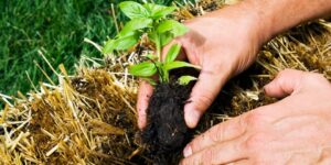 سؤال وجواب.. ما هي أفضل الأعمال الدنيوية ؟