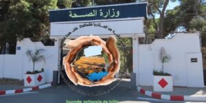 وزارة الصحة تؤكد ضرورة تفعيل اليقظة للحفاظ على مكسب القضاء على الملاريا