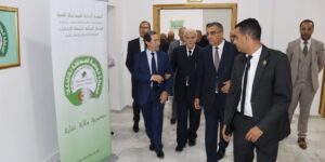 تهيئة شروط تنظيمية بمقاييس دولية ضمان إضافي لنزاهة العملية الانتخابية