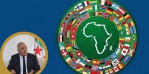 التنمية في إفريقيا.. اعتماد آليات مبتكرة من أجل جلب رأس المال الخاص