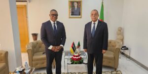 نحو تعزيز التعاون الجزائري الموزمبيقي في المجال الصناعي