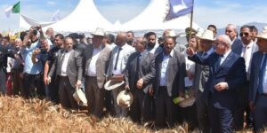 وزير الفلاحة يعطي إشارة انطلاق حملة الحصاد والدرس بالولايات الشمالية