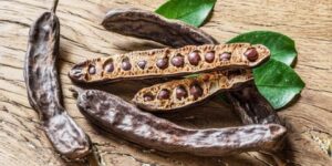 فوائد صحية للخروب.. يقي من الأمراض ويساعد على إنقاص الوزن