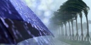 رياح قوية وأمطار في 13 ولاية