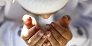 صناعة الحياة