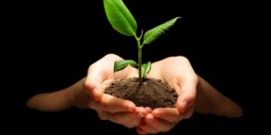 ادعوا إلى الخير