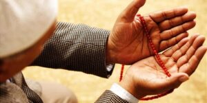 سؤال وجواب.. ما هو غراس الجنة ؟