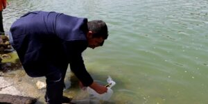 إطلاق الحملة الوطنية لاستزراع السدود من سد بني هارون