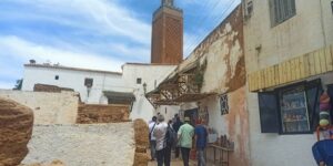 وفد من الجالية الجزائرية المقيمة بالخارج يستكشف عددا من المواقع التاريخية والسياحية بعدد من ولايات الوطن