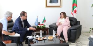 وزيرة البيئة تبحث سبل التعاون المشترك مع منظمة الأمم المتحدة للتنمية الصناعية