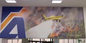 سوناطراك تؤكد التزامها للمشاركة في الجهود الوطنية لمكافحة حرائق الغابات