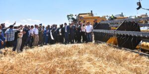كمية الحبوب المتوقع إنتاجها خلال الموسم الفلاحي الجاري تعد ثمرة قرارات رئيس الجمهورية