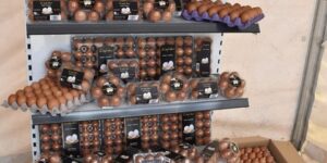 “ماغرو” تفتح نقاط بيع بالجملة للبيض من أجل دعم استقرار الأسعار