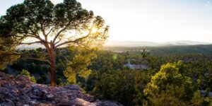 غابة عين غراب.. واحدة من أهم فضاءات الراحة والاستجمام