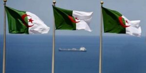 الوكالة الجزائرية للتعاون الدولي جاهزة لدراسة المزيد من المشاريع الافريقية