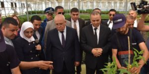 الحكومة تقرر الشروع في استصلاح 500 ألف هكتار من الأراضي بالولايات الجنوبية