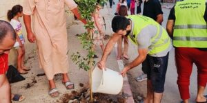 حملة تشجير واسعة بحي الهواورة بسيدي موسى