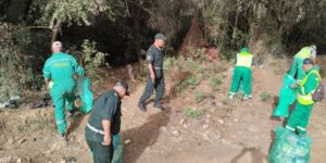 اشغال حراجية بغابات العاصمة للوقاية من الحرائق