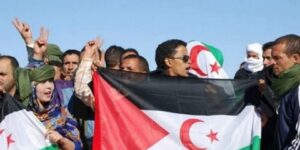 الفدرالية الدولية للصحفيين المتضامنين مع الشعب الصحراوي تأسف لإدارة فرنسا ظهرها لعملية السلام في الصحراء الغربية