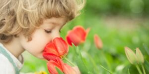 العلم والإيمان.. حاسَّة الشم