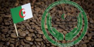 تدخل الوزير الأول سيُعيد التوازن لسوق مادة البن