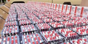 إحباط محاولة تهريب 10500 قرص مهلوس بالأغواط