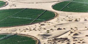 وفد إيطالي بتيميمون قصد التحضير لانطلاق مشروع الزراعات الاستراتيجية بالولاية