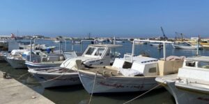 بصفة استثنائية.. فتح إمكانية تغيير نشاط قوارب النزهة إلى الصيد الحرفي