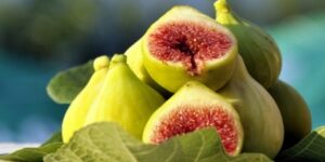 التين لتقوية النشاط الذهني ويحفظ توازن السكري