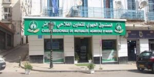 سيتم إطلاقه قريبا.. صندوق التعاون الفلاحي يستحدث منتجا جديدا للتأمين الفردي ضد الحوادث