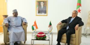 عون يبحث سبل التعاون الجزائري-النيجري في المجال الصناعي
