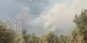 مصالح سونلغاز تتدخل لتأمين المناطق المتضررة من حرائق الغابات بتيزي وزو وبجاية