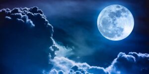 العلم والإيمان.. الشمس والقمر حسبانا