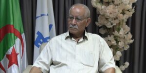 الدكتور عامر رخيلة: الضمانات الدستورية و القانونية لشفافية العملية الانتخابية